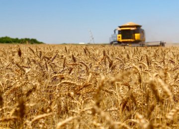 A record high of over 14 million tons of wheat were domestically produced this crop year.