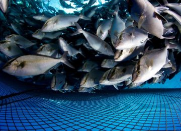 Aquaculture Deal With Norway’s AKVA Group, Aqualine