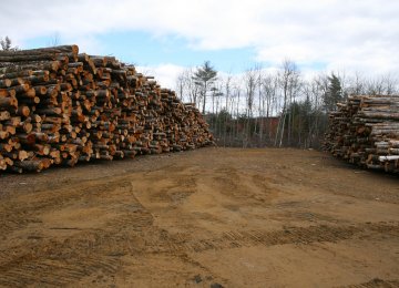 Iran’s demand for timber is estimated to reach 13 million cubic meters in five years.