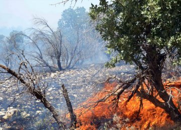 Wildfires inflict upward of $94 million in losses every year.