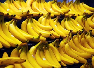 Banana Import Tariffs Cut on Apple Exports