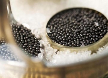 Caviar Production to Increase