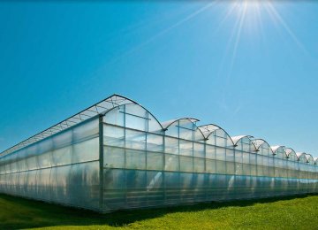 Need to Expand Greenhouse Cultivation