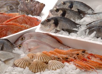 Seafood Production at Record High