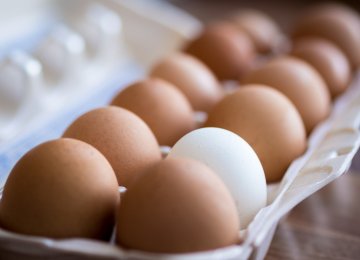 Egg Export Markets Mostly Lost