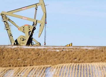 Oil Falls on Skepticism  Over Output Freeze Deal