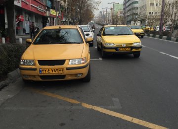 Taxi Organization to Launch Local App