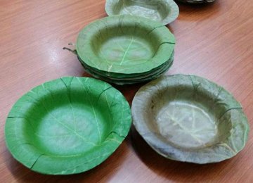 Thai University Develops Bowls From Leaves