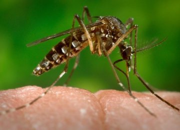 67 Entities Working on Zika Treatment