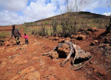 Madagascar Drought Worsens  