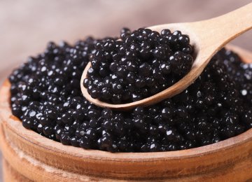 Caviar Export Value Rises Despite Environmental Odds