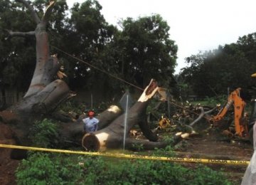 Hurricane Otto Kills 3 in Panama,  Threatens Central America