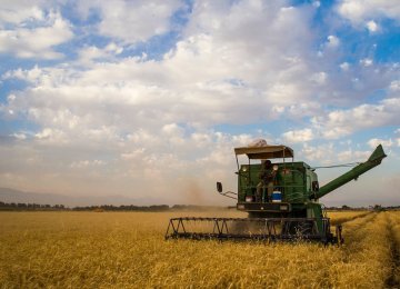 The government has already raised 36.6 trillion rials (nearly $1 billion) to buy wheat from farmers so far in the current fiscal year (started March 20).