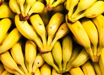 Banana Imports Down 63%