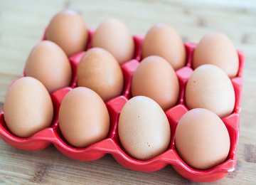 Decline in Egg Exports