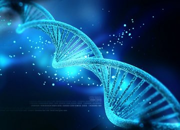 DNA Criminal Database