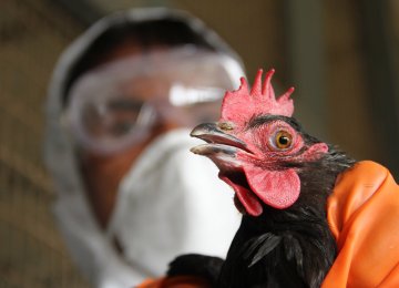  Bird flu was confirmed in dead birds along Lake Geneva in Switzerland on Saturday.