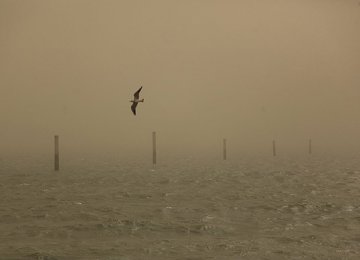 Dust Storms in Hormozgan Disrupt Flights