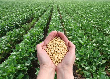 A full 0.9% of the GDP gain in the third quarter was driven by the one-off surge in soybean exports alone—a gain expected it to be reversed in the final three months of the year.