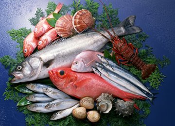 Sharp Rise in Seafood Exports 