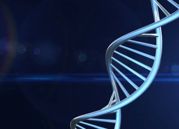 Genetic Type Important in Treating Cancer