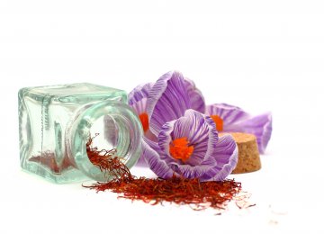 Allelopathic Effects of Saffron