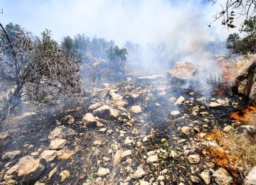 Wildfires Decline in H1