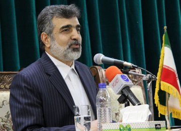 Iran Ready for Coop. in Building Nuclear Plants