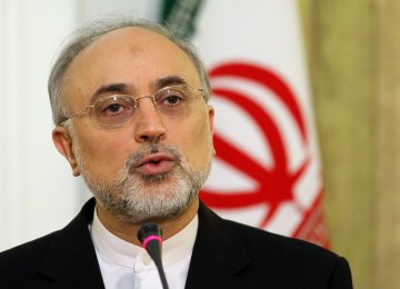 Salehi to Brief MPs on JCPOA 