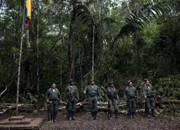 Colombia Farc Leaders Could  Disown Rogue Unit