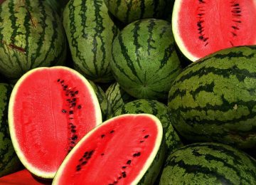 190KT of Watermelon Exported in 2 Months