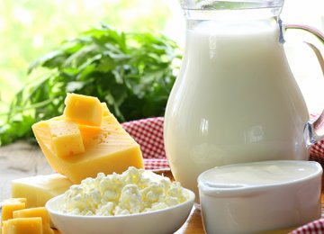 Dairy Exports Remain Lackluster