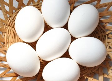 Egg Exports Decline