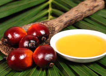 Sharp Fall in Palm Oil Imports