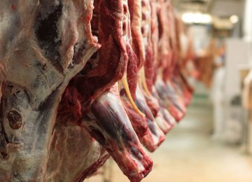 Livestock Breeders Hit by Excessive Meat Imports