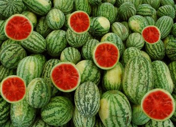 246KT of Watermelon Exported in 3 Months