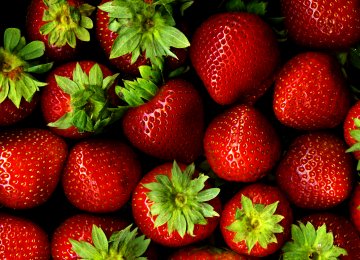 56KT of Strawberries Produced Last Year