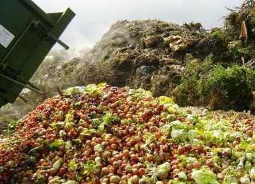 Food Waste in US Appalling