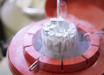 Ovarian Tissue Freezing New Solution for Late Childbirth