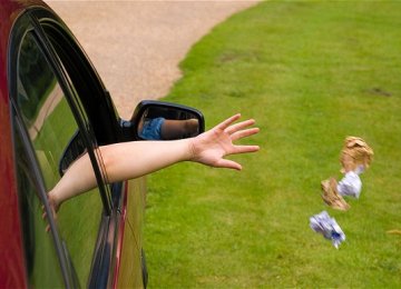 Fine for Littering While Driving 