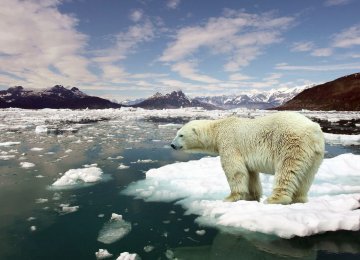 Climate Change Report Sets Challenging Task