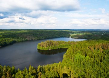 Call for More Forest Protection Funds in Finland