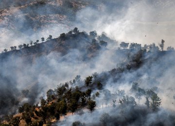 Wildfires in Zagros Forests