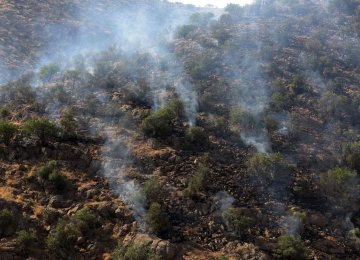 Fars Forests, Habitats Burn as Temperatures Rise