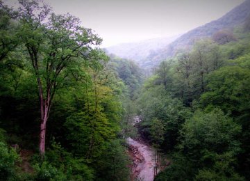 The move could cost the Caspian Hyrcanian forests the chance of being inscribed on UNESCO’s World Heritage List.