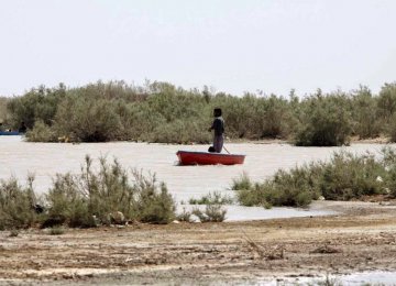 The Hamouns’ water level has risen comapred to last year.