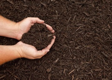 Oil Ministry Selling Mulch to DOE