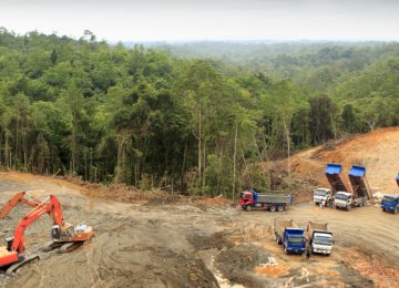 Indonesian Palm Oil Giants Disband Green Pledge