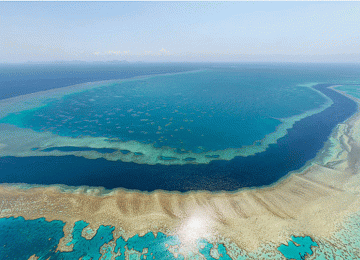 Australia Pledges $740m Great Barrier Reef Fund
