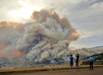 Wildfire Forces Madeira Island Residents to Flee